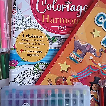 - L'atelier - Centre Historique - Authentique - Souplex Апартаменты *